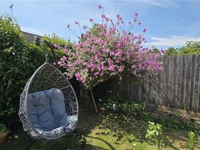Picture 20